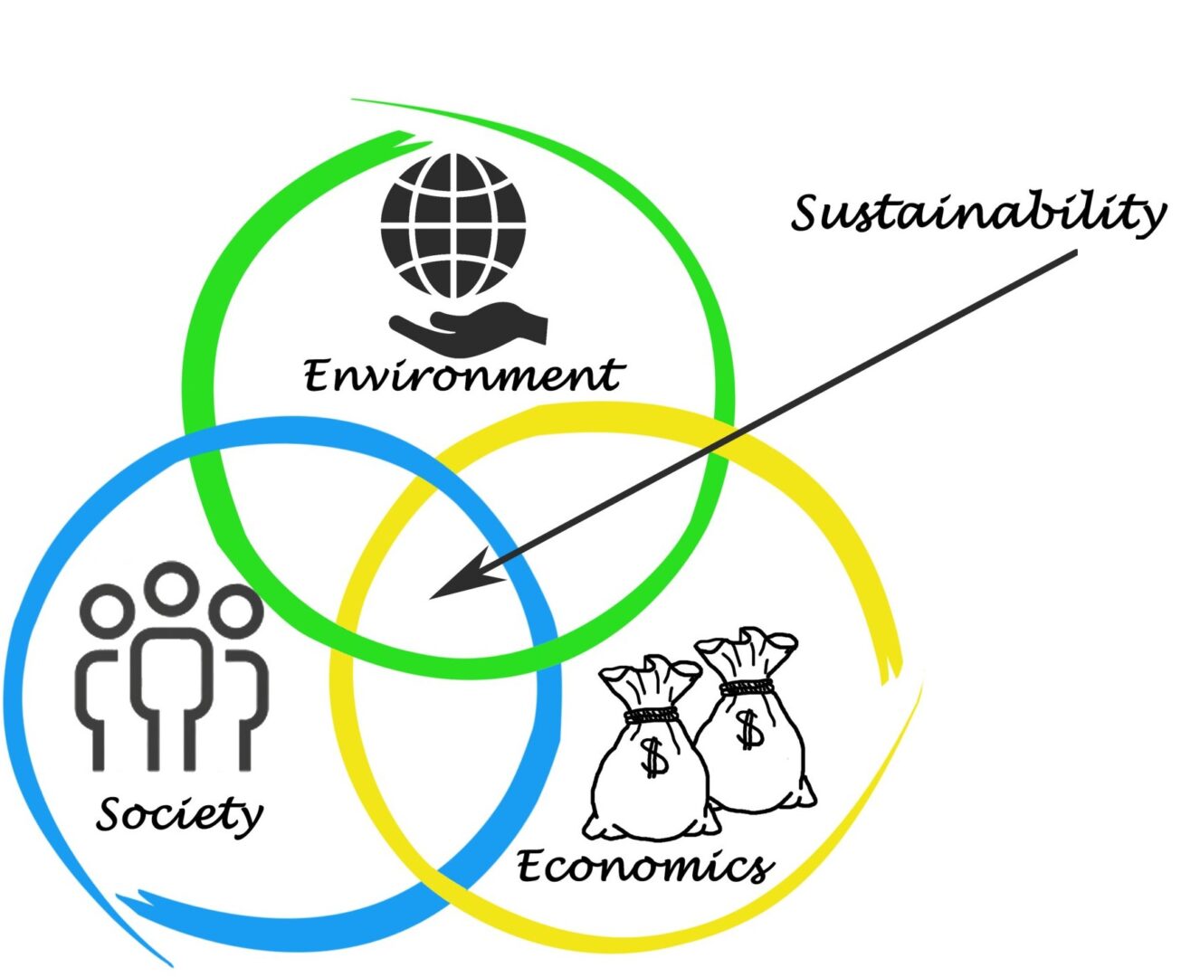 Sustainability risk assesment